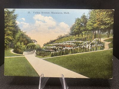 #ad Valley Avenue Macatawa Michigan Flower Landscapes Roadways Ground Postcard C12