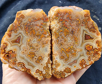 #ad 9.87 oz 290 gr Plume Agate Collectible Agate Agate Stone Quality Agate