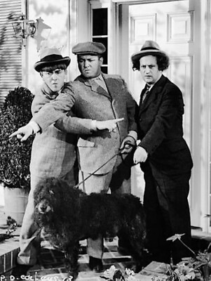 #ad The Three Stooges 8x10 Photo