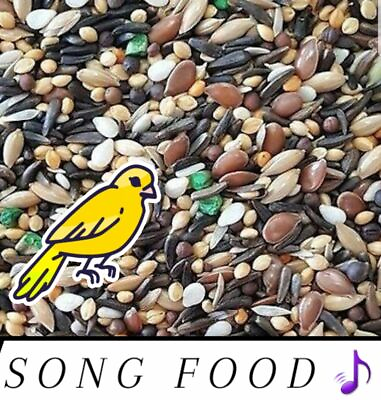 #ad Canary Song Food Treat For Canaries FRESH From Bulk Choose Size