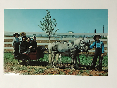 #ad Postcard Amish Children Posing On Horse Pony Drawn Buggy Cart Greetings c1960s