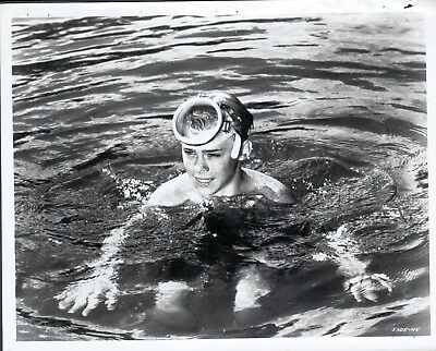 #ad Flipper 1963 8x10 black amp; white movie photo #45