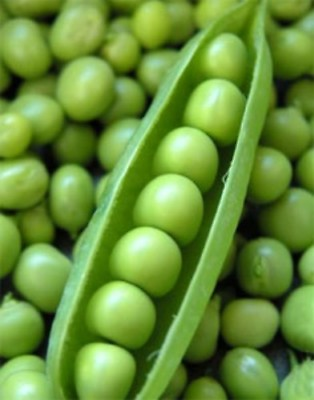 #ad Peas Child`s green sweet organic seeds non gmo Ukraine 10 g Farmer#x27;s dream