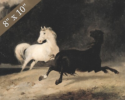 #ad 1800s Black and White Horse Painting Giclee Print 8x10 on Fine Art Paper