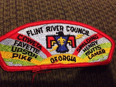 #ad Mint CSP Flint River Council S 3