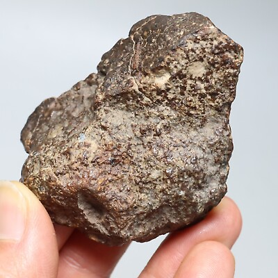 #ad 114g NWA natural Unclassified Chondrite meteorite J232