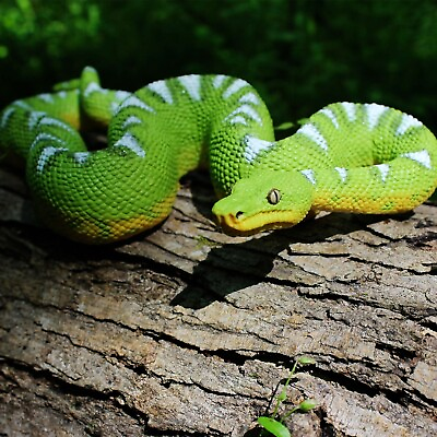 #ad Emerald Tree Boa Incredible Creatures Figure Safari Ltd Realistic Snake Toy