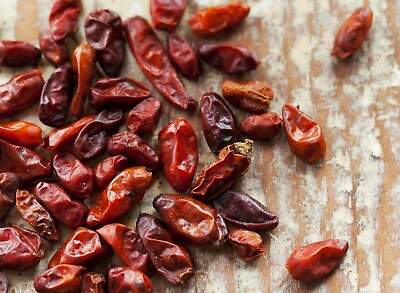 #ad 10 Piquin Chile Pepper Seeds Capsicum annuum Pequin Chili SHU 30000–60000