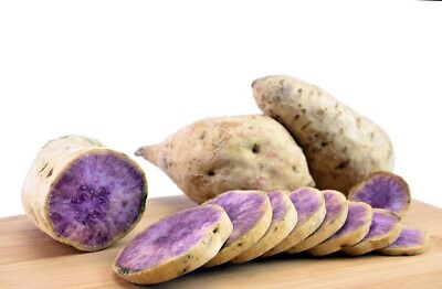 #ad 10 Hawaii Okinawa Purple Sweet Potato Slips Cutting Khoai Lang Tim Hawaii