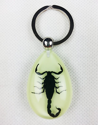 #ad New Design KeyChain KeyRing With Black Scorpion Insect Specimen Pendant Charm
