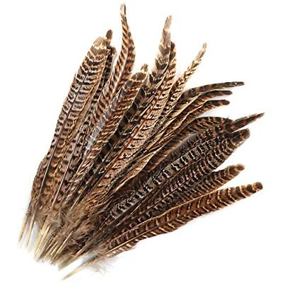 #ad 20pcs Natural Pheasant Tails Feather for Hair Hats Crafts Home Wedding Party ...