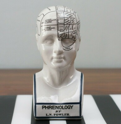 #ad Decorative Porcelain Phrenology Head Medical Collectible Home Décor Gift Piece