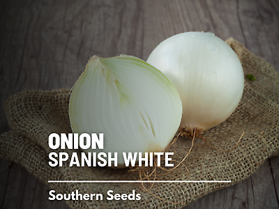 #ad Onion Spanish White Sweet Heirloom Seeds