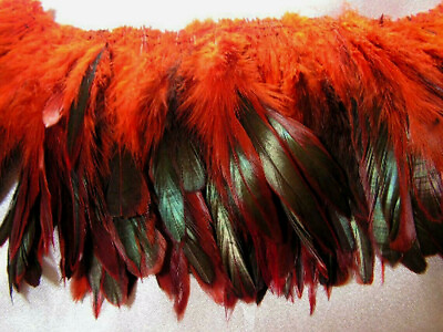 #ad Rooster Schlappen Feathers Half Bronze Dyed Orange Strung 6quot; 50 Pcs.