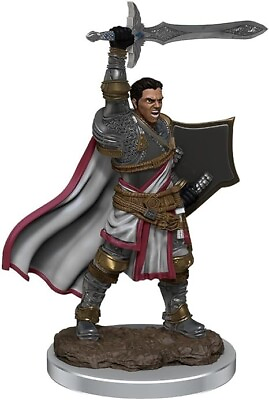 #ad Male Human Paladin Premium Damp;D Miniature Dungeons Dragons fighter warrior W7 Z