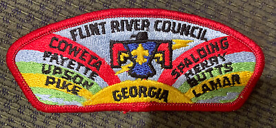 #ad MINT CSP Flint River Council S 4a