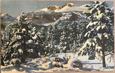 #ad Estes Rocky Mtn National Park Longs Peak in Winter Colorado VTG PC Postcard 1937