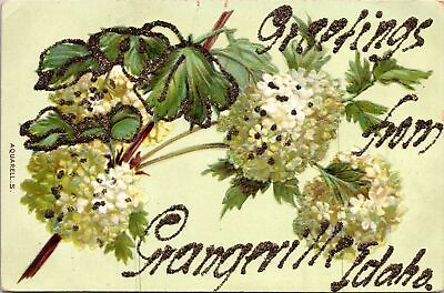 #ad VINTAGE POSTCARD GREETINGS FROM GRANGEVILLE IDAHO HAND PAINTED GLITTER c. 1910