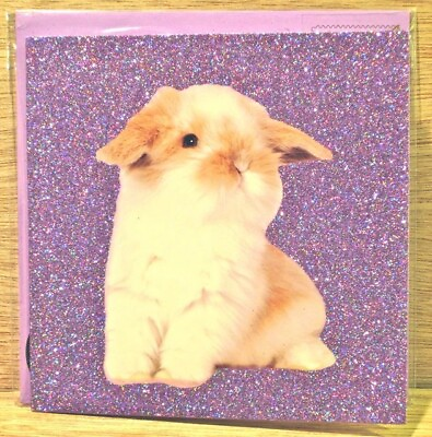 quot;Happy Easter with Lovequot; BABY LOP BUNNY RABBIT Glittery Papyrus Card