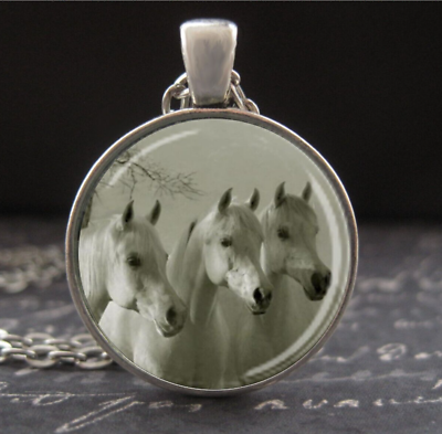 #ad Horse Jewelry for Women Equestrian Necklace Photo Pendant Silver Glass Handmade