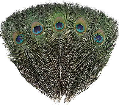 #ad 12 PCS Real Natural Peacock Eye Feathers 10 12 Inch for DIY Craft Wedding and H