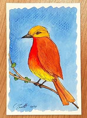 #ad CHRIS ZANETTI Original Watercolor Painting Exotic Bird Wildlife Art 6quot;X4quot; Signed