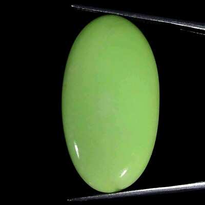 #ad 31.50 Cts Lemon Chrysoprase Oval Cabochon Natural Loose Gemstone 19x35x5mm