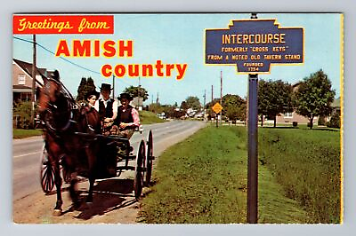 #ad Intercourse PA Pennsylvania Three Young Amish Boys In A Buggy Vintage Postcard