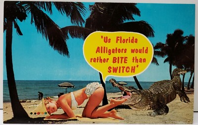 #ad Fl Alligators would rather Bite than Switch Sexy Girl In Swimsuit Postcard E13