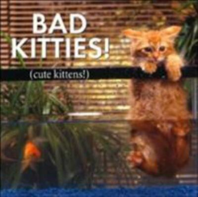 #ad Bad Kitties Cute Kittens by Kittens Cute