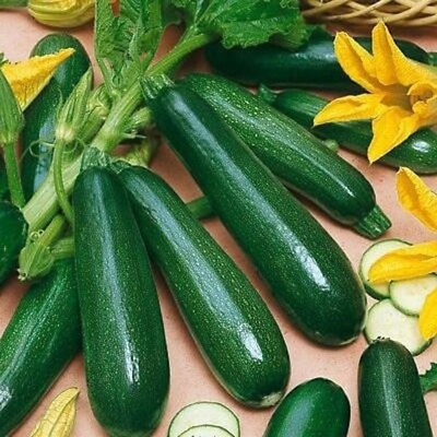 #ad 50 BLACK BEAUTY Zucchini Squash HEIRLOOM NON GMO FRESH ORGANIC