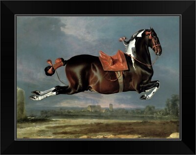 #ad The piebald horse #x27;Cehero#x27; rearing Black Framed Wall Art Print Horse Home Decor