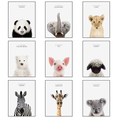 #ad Nursery Animal Lion Panda Print Art Poster Kids Cute Picture Bedroom Wall Decor