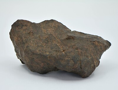 #ad 126.9g Winonaite Primitive Achondrite Meteorite TOP METEORITE