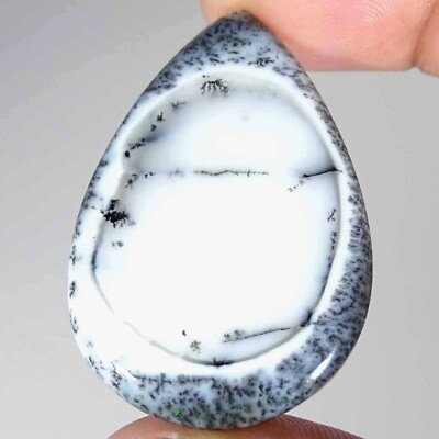 #ad 47.40Cts Natural Dendrite Opal Pear Cabochon Loose Gemstones