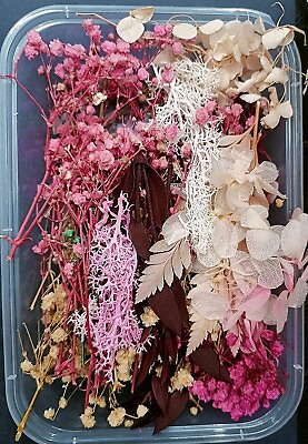 #ad Dried Flowers for Resin Art Natural Dry Flowers forDecorationCandleamp;Nail making