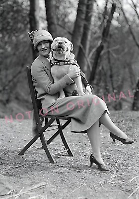 #ad Vintage Old 1930#x27;s Photo Reprint of Woman Holding Big Pitty PITBULL Dog on Chair