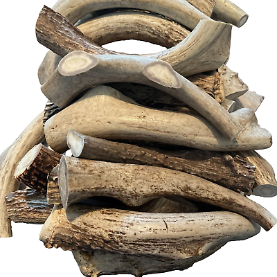 #ad * Dog Chews * 1Lb Large Deer Antler Chews All Natural Organic Busy Chewers