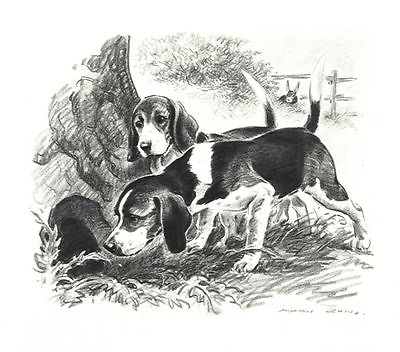 #ad Beagle CUSTOM MATTED Dog Art Print Morgan Dennis