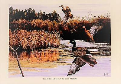 #ad Duck Art Sporting Art Mallard Ducks Signed print open edition wildlife Art