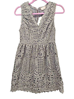 #ad Altard State Womens size M Gray Lace Zip Back Fit and Flare Sleeveless New Dress