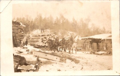 #ad RPPC Postcard Logging Camp Horses Pulling Sled of Logs c.1904 1918 12499
