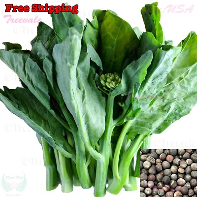 #ad Kai lan Seeds Chinese Broccoli White flowering Broccoli Chinese Kale Seeds