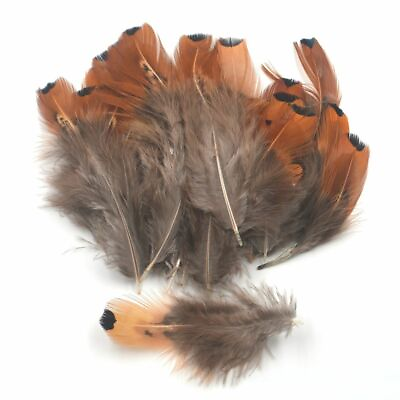 #ad 150pcs Natural Picked Gray Brown Tip Mix Feather for Fly Tying Throax Tail Wings