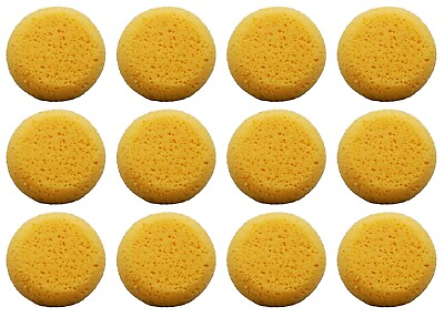 #ad Pack of 12 Synthetic Sponges 2 1 2 Inch Round for Crafts amp; Leather Care etc