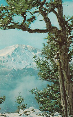 #ad Pikes Peak in Winter Colorado Springs Colorado 1961 POSTCARD