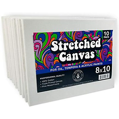 #ad 10 Pack Stretched Canvas for Painting Blank Art Canvases for Paint