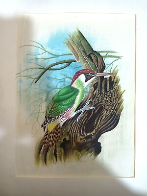 #ad Indian Colorful Bird Painting Handmade Miniature Artwork On Silk PN8751