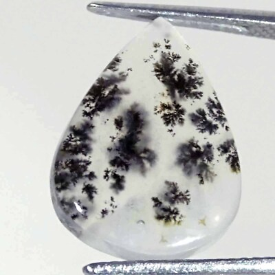 #ad 05.60Cts Natural Dendritic Opal Pear Cabochon Loose Gemstone