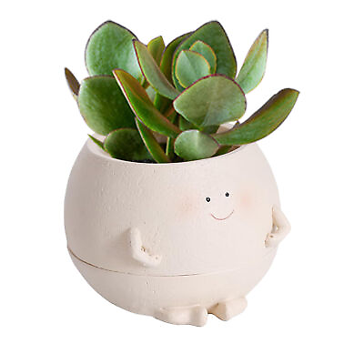 #ad Face Planter Pot Cartoon Resin Succulent Pot Cute Resin Flower Head Planter